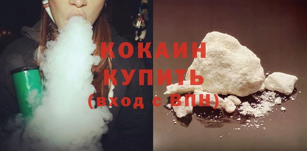 СК Алексин