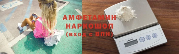 СК Алексин