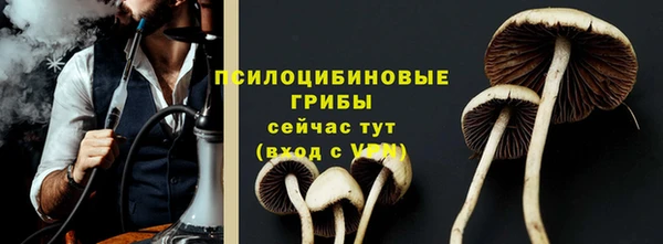 прущие крисы Алексеевка