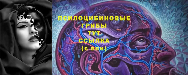 ешки Алзамай
