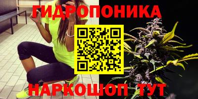 сатива Ликино-Дулёво